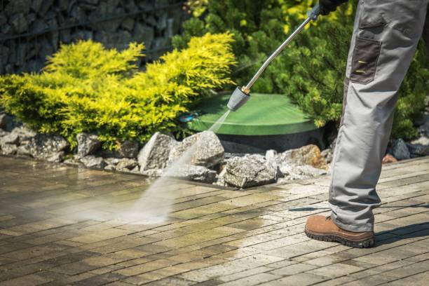Trusted Holt, AL Pressure Washing Services Experts